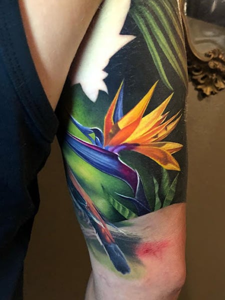 Birds of Paradise Tattoo