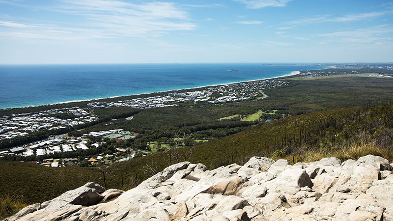 Bushwalk At Mount Coolum National Park