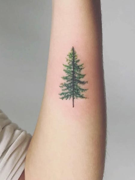Evergreen Tree Tattoo