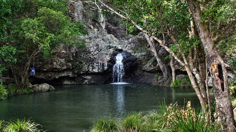Kondalilla Falls
