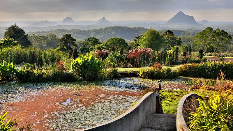 Maleny Botanic Garden