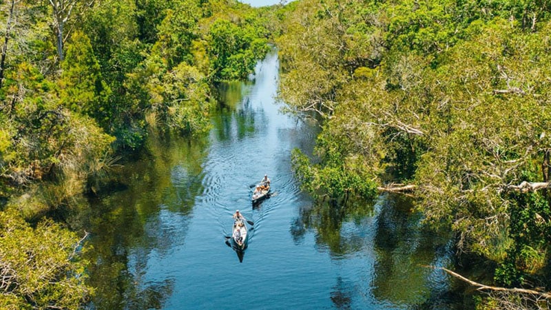 Noosa Everglades Tour