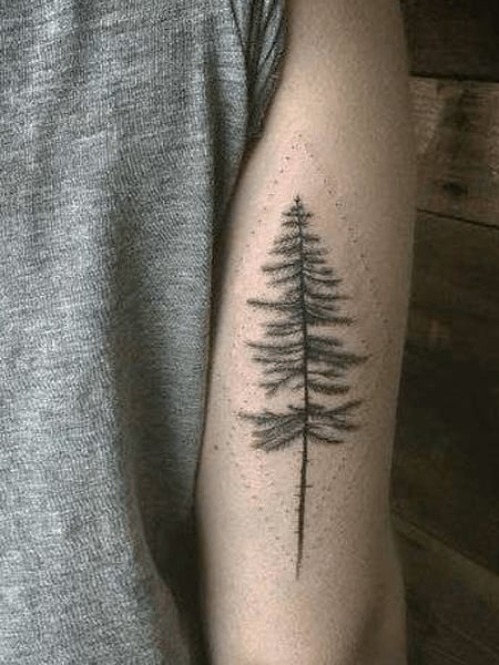 22 Photos of Mystical Pine Tree Tattoos