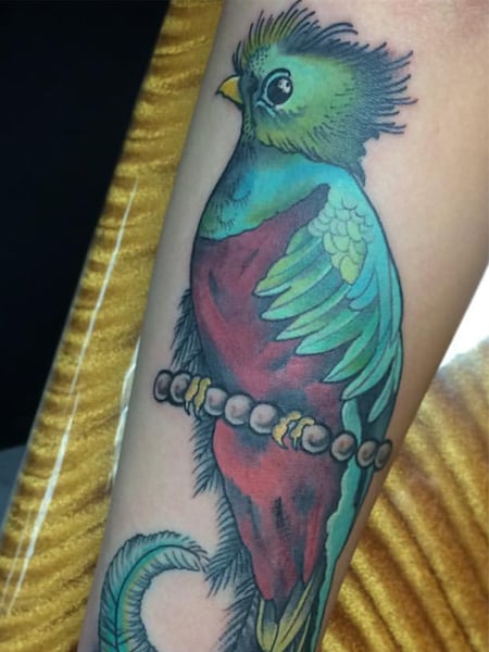 Quetzal Uccello tatuaggio