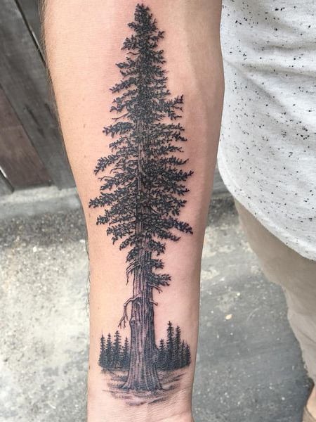 pine tree tattoo designs