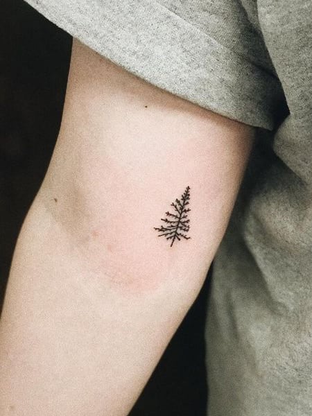 75 Simple and Easy Pine Tree Tattoo  Designs  Meanings 2019