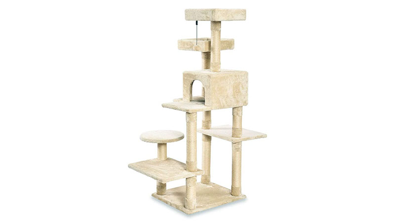 Amazonbasics Multi Level Cat Tree With Scratching Posts