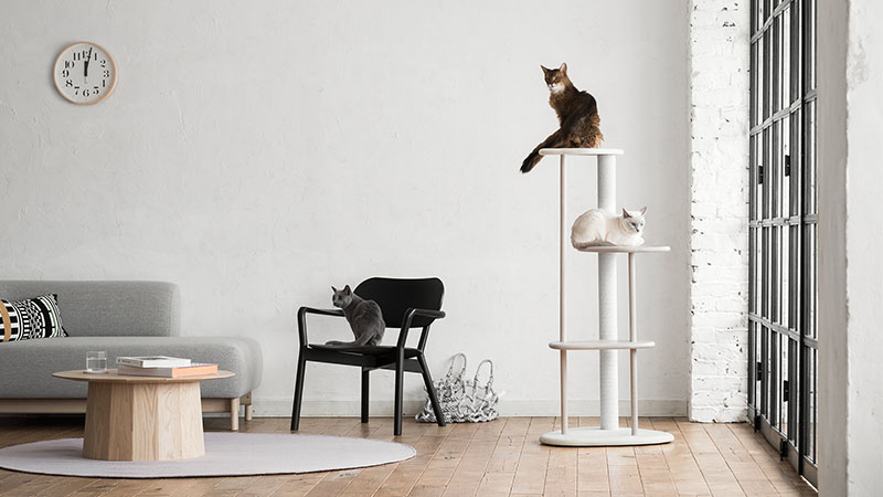 best quality cat trees