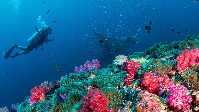 Scuba Diving