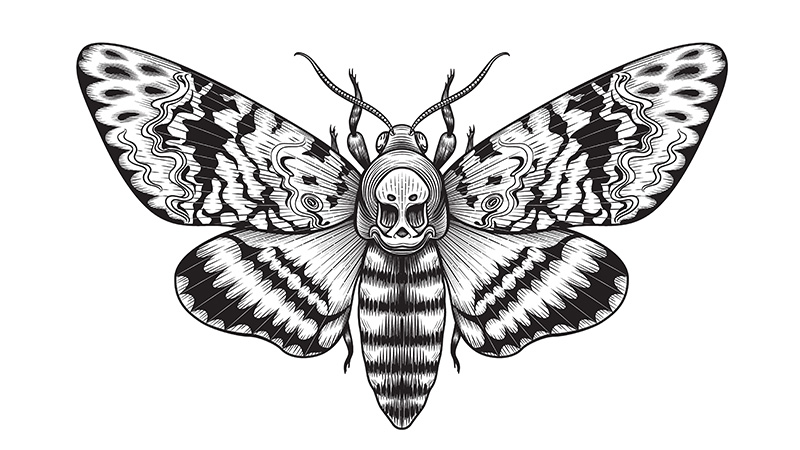 Interesting Dead Head Moth Tattoo Meanings  TattoosWin