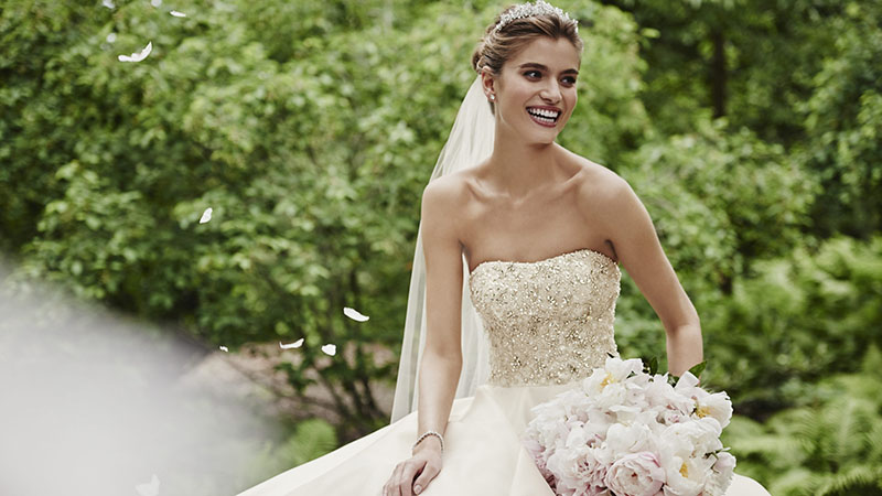 David’s Bridal