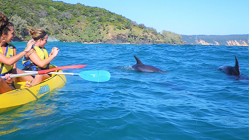 Noosa Kayaking Tour