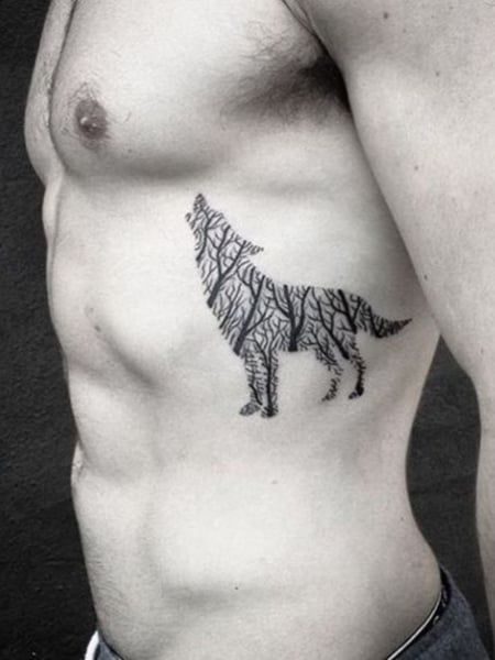 Im obsessed with tiger tattoos That is all fineline singleneedlet  rib  tattoo  TikTok