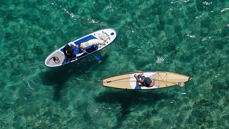 Board Size And Shape