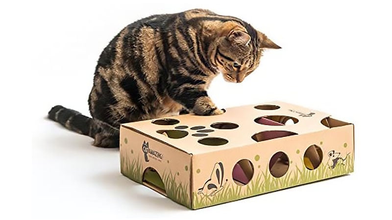Cat Amazing Interactive Treat Maze & Puzzle Feeder