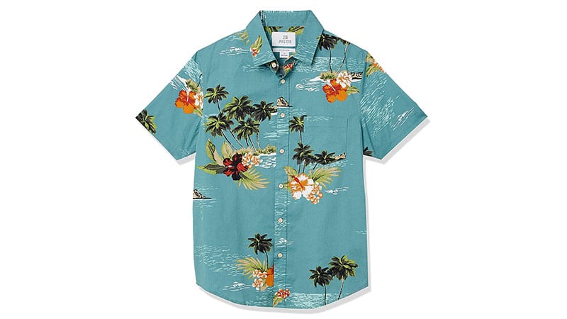 20 Coolest Hawaiian Shirts for Men (2023) - The Trend Spotter