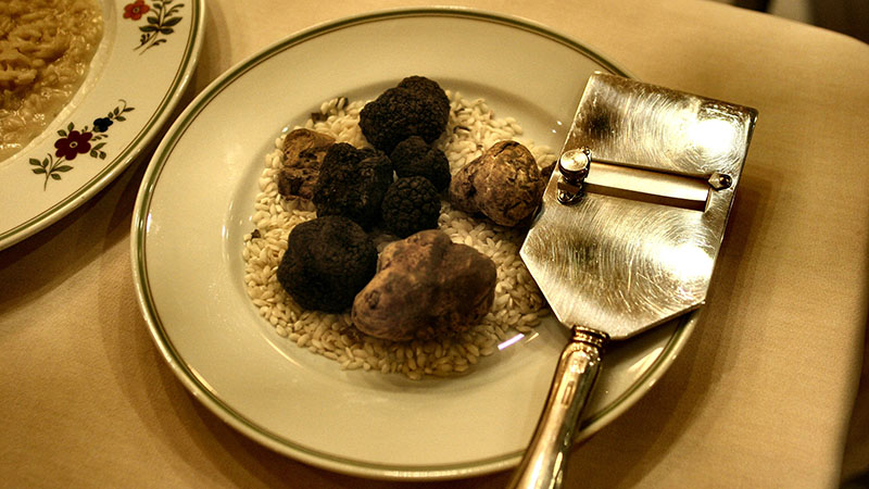 Black Truffles, White Truffles, And Truffle Oil What’s The Difference?
