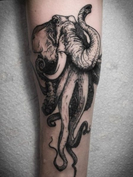 Elephant Octopus 