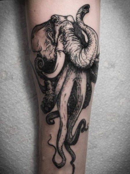 Tattoo uploaded by Magic M Tattoo  octopusskull octopus skull dotwork  darktatttos  Tattoodo