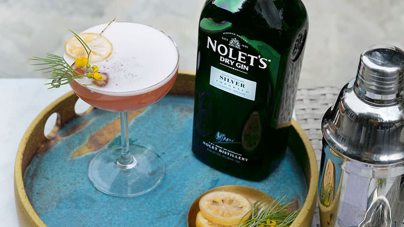 Gin Sour