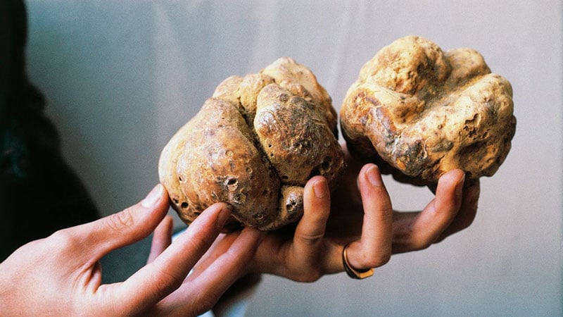 How Are Truffles Grown?