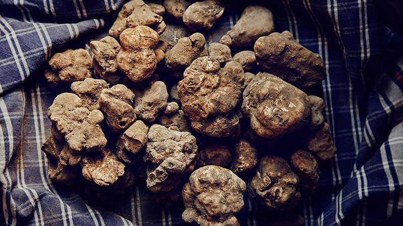 How To Store Truffles