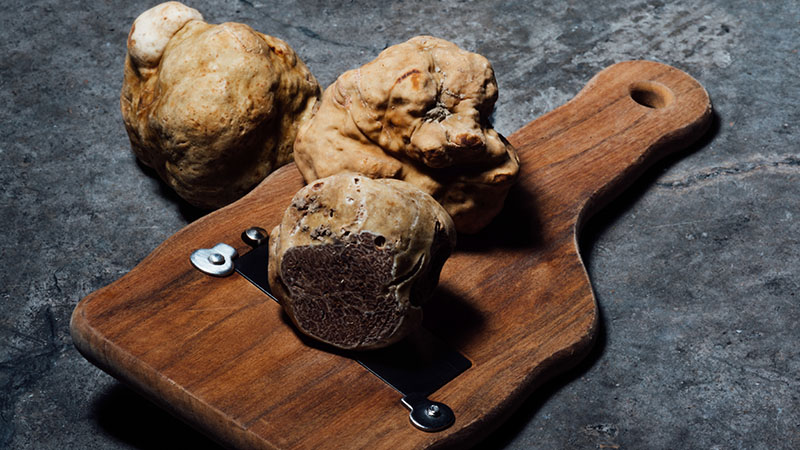 The Ultimate Guide To Truffles 3