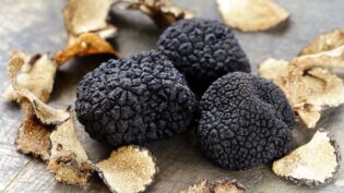 Truffle Guide
