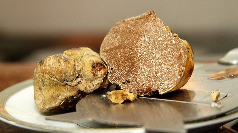 What Do Truffles Look Like?