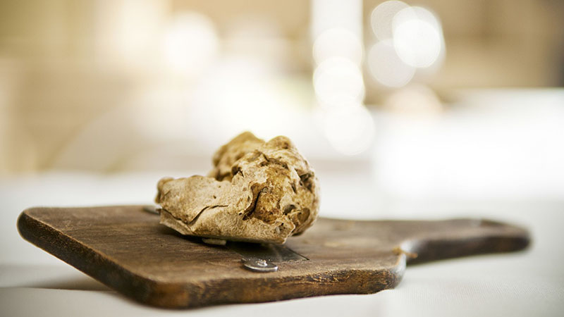 Where Can You Buy Truffles?