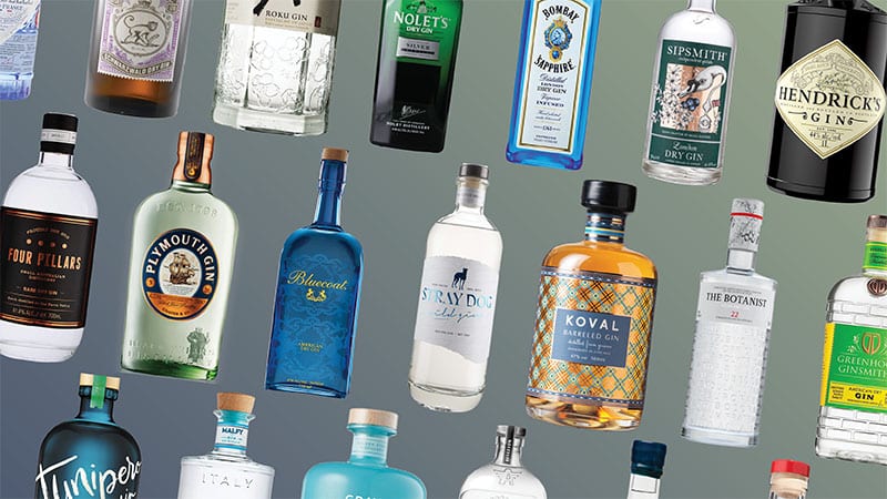 best gin brands for martini