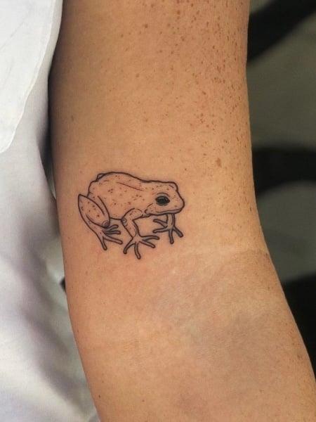 Frog Tattoo