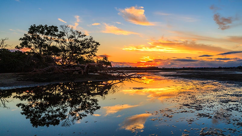 Nudgee Beach