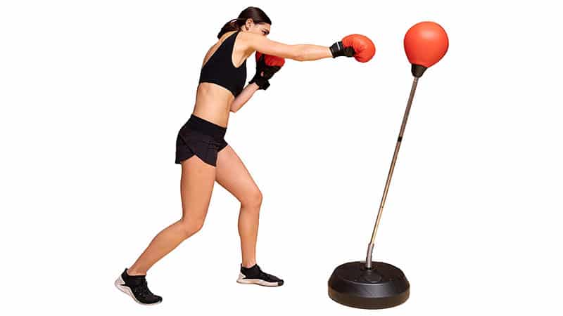 Protocol Punching Bag With Stand