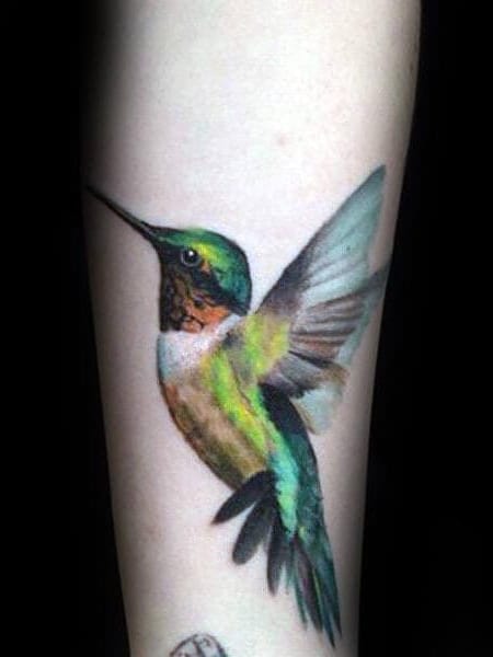 Realistic Hummingbird Tattoo