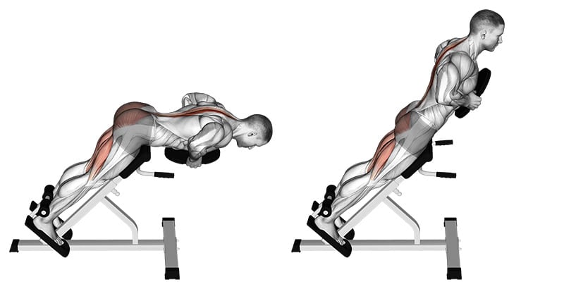 45 Degree Hyperextension