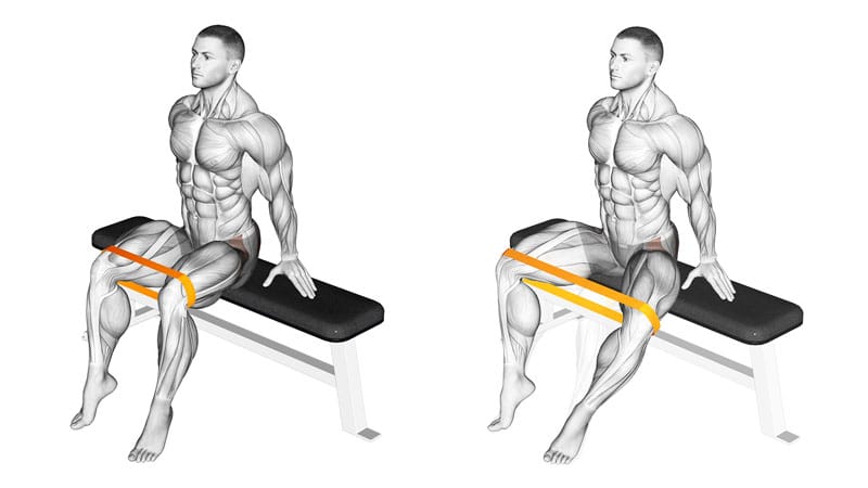 Seated Banded Hip Abduction
