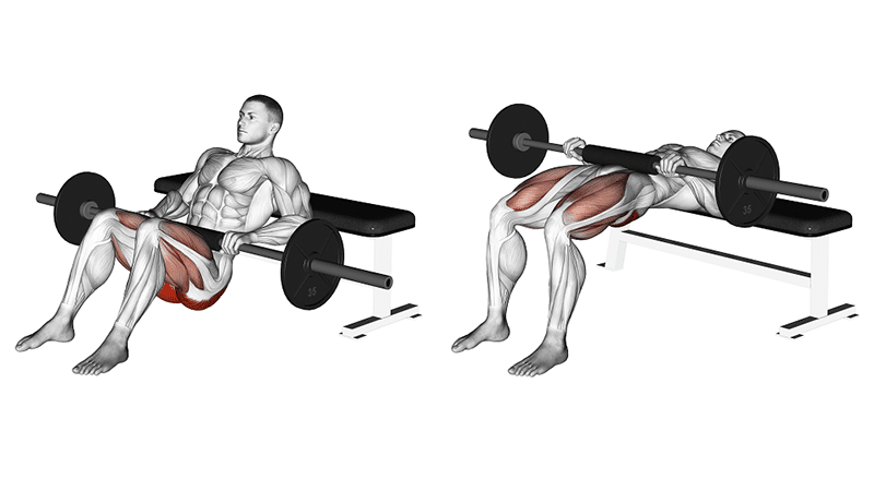 Barbell Hip Thrust