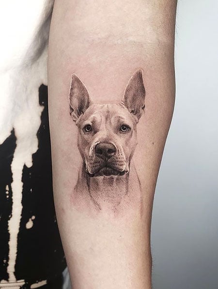 Dog Tattoo For Men