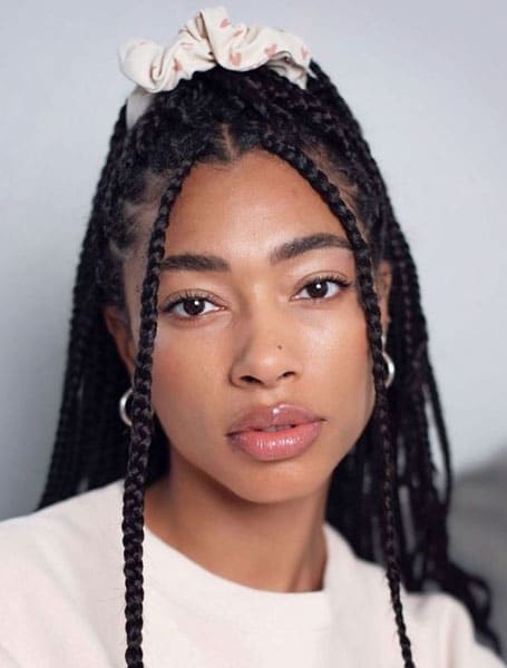 Box Braids Ponytail Copy