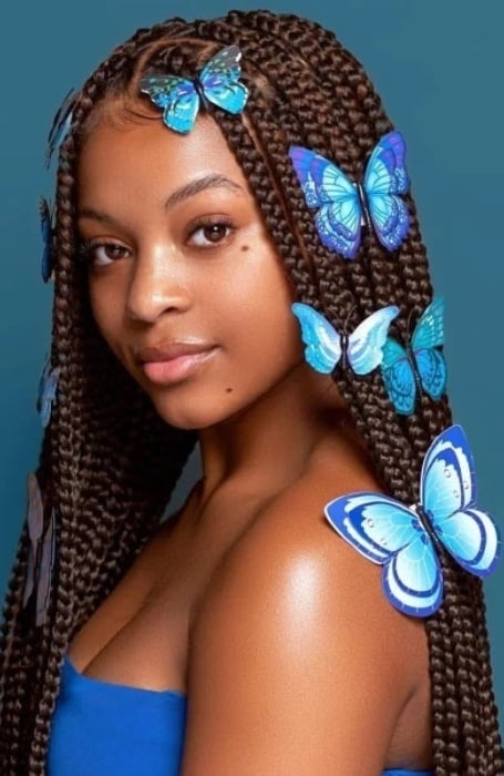 Butterfly Box Braids For Women