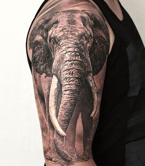 Elephant Half Sleeve Tattoo