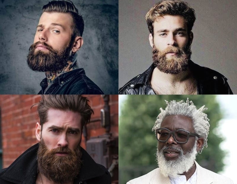 Garibaldi Beard Style 