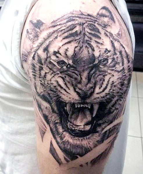 Shoulder Lion Tiger Tattoo For Men Tiger Tattoo HD wallpaper  Peakpx