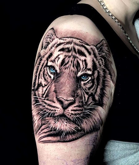 Tiger Shoulder Tattoo 3
