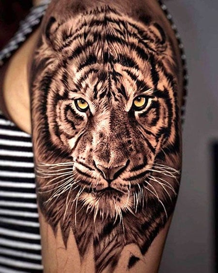 Tiger Shoulder Tattoo