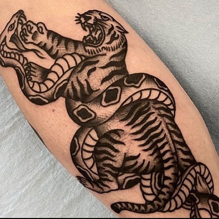 Snake and tiger fighting, tattoo illustration design. Snake and tiger  fighting, tattoo illustration. | CanStock