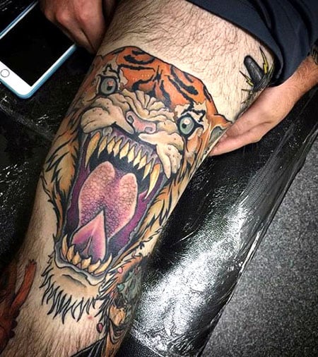 Dan Ryan on Twitter New knee Tattoosswollen as fook but done in the one  session tattoos traditional panther tiger httptcoKZY2o1DlWb   Twitter