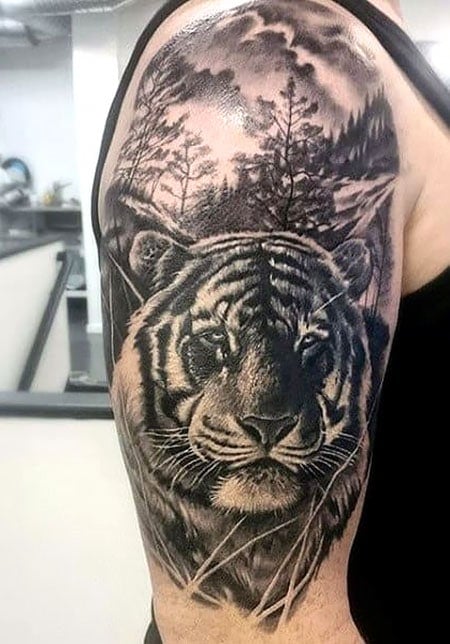 Tiger Blue Eye Arm Tattoo  Allegory Ink