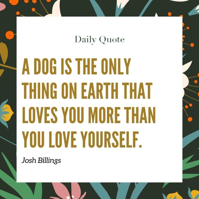 Dog Love Quotes